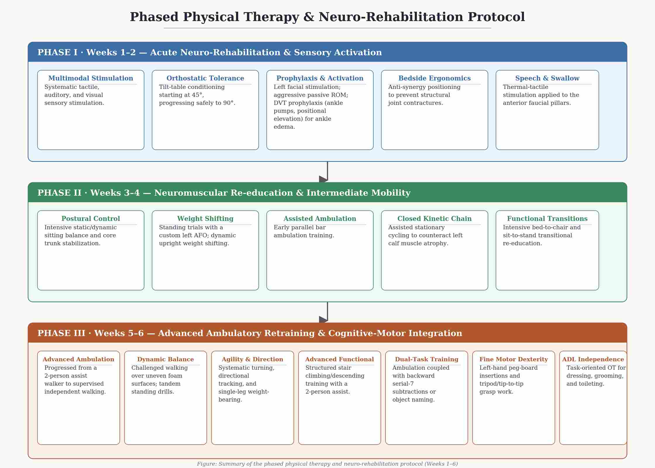 Phased Physical Therapy & Neuro-Rehabilitation Protocol Chart